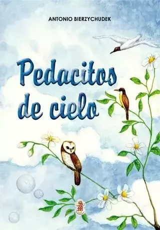 PEDACITOS DE CIELO