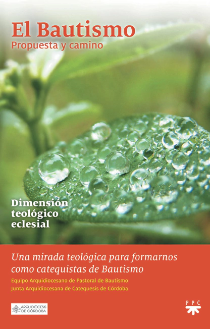 El Bautismo II. Propuesta y camino